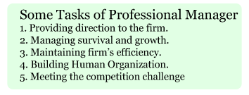 tasks of a professional manager